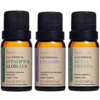Kit Personalizado de Óleos Essenciais Via Aroma