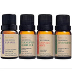 Kit Personalizado de Óleos Essenciais Via Aroma