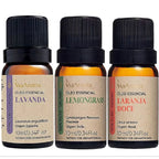 Kit Personalizado de Óleos Essenciais Via Aroma