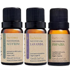 Kit Personalizado de Óleos Essenciais Via Aroma