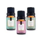 Kit de Essências Aromatizantes Via Aroma