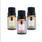 Kit de Essências Aromatizantes Via Aroma