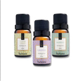 Kit de Essências Aromatizantes Via Aroma